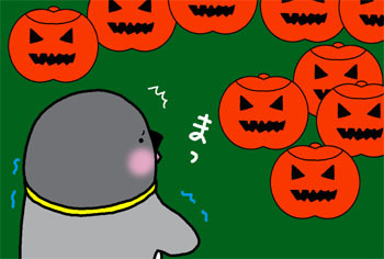 2008-10-23.jpg