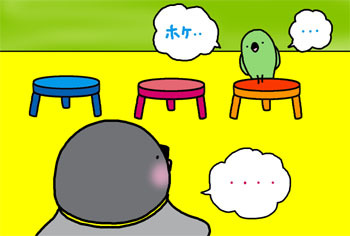 2010-5-HITORI.jpg