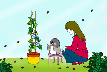2011-1-mite.jpg