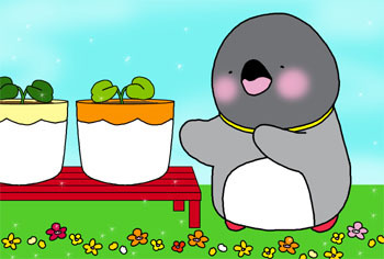 2011-5-ohana.jpg