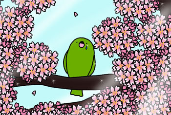2011-9-hissori.jpg