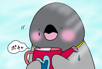 2012-8-pochan.jpg