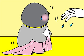 2014-11-naninani.jpg