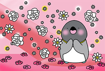 2014-11-shirasedesu.jpg