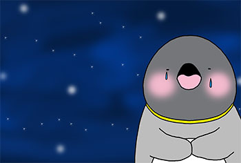 2014-6-mataaeru.jpg