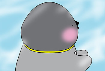 2016-5-socchihe.jpg