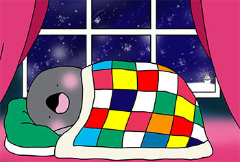 2017-12-night.jpg