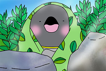 2019-7-nikooo.jpg