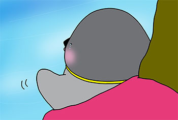 2019-7-ushironi.jpg