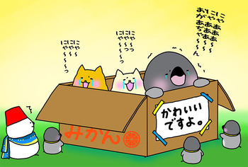 2024-7-nyaaa.jpg