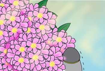 2025-7-flower-3.jpg